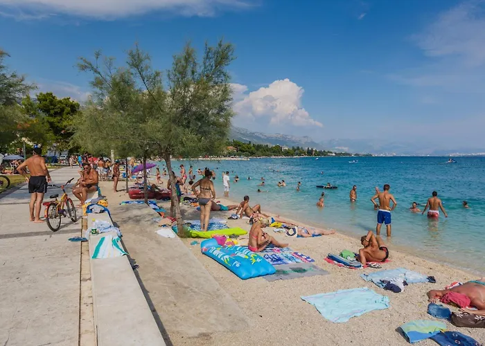 Modern Nikola In A Quiet Area *